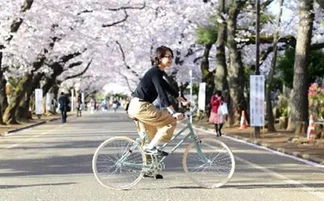 滿(mǎn)大街的摩拜ofo騎膩了,還有這些時(shí)髦又輕便的自行車(chē)