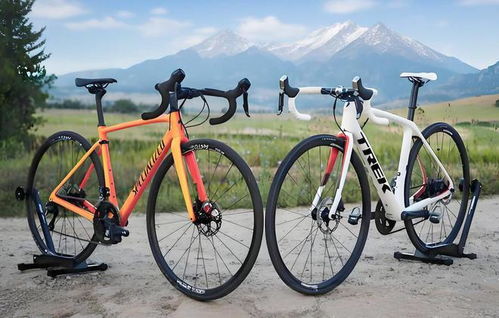 2025自行車行業報告評測 閃電崔克梅花捷安特喜德盛品牌檔次