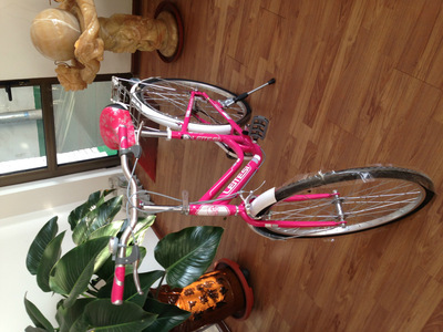 【天津市濮琪自行車】價(jià)格,廠家,圖片,自行車,天津市濮琪自行車-