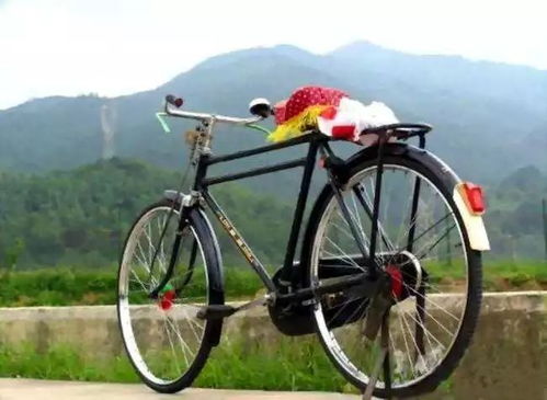 絳縣誰(shuí)家有這種自行車 兩輛就能換一套房 暴漲500倍